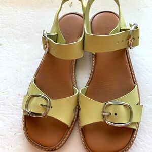 Everlane The Twin Buckle Sandals